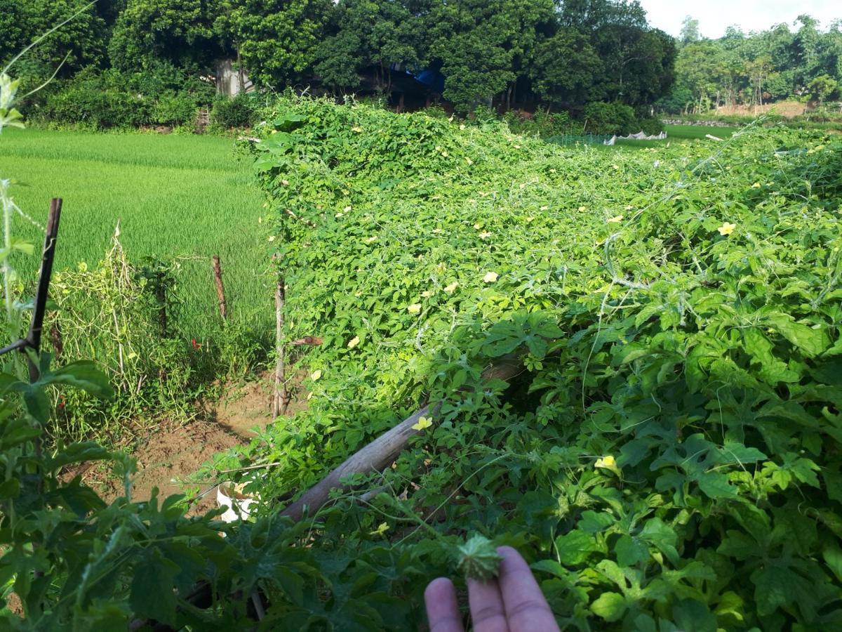 Meadow Mai Chau Homestay المظهر الخارجي الصورة