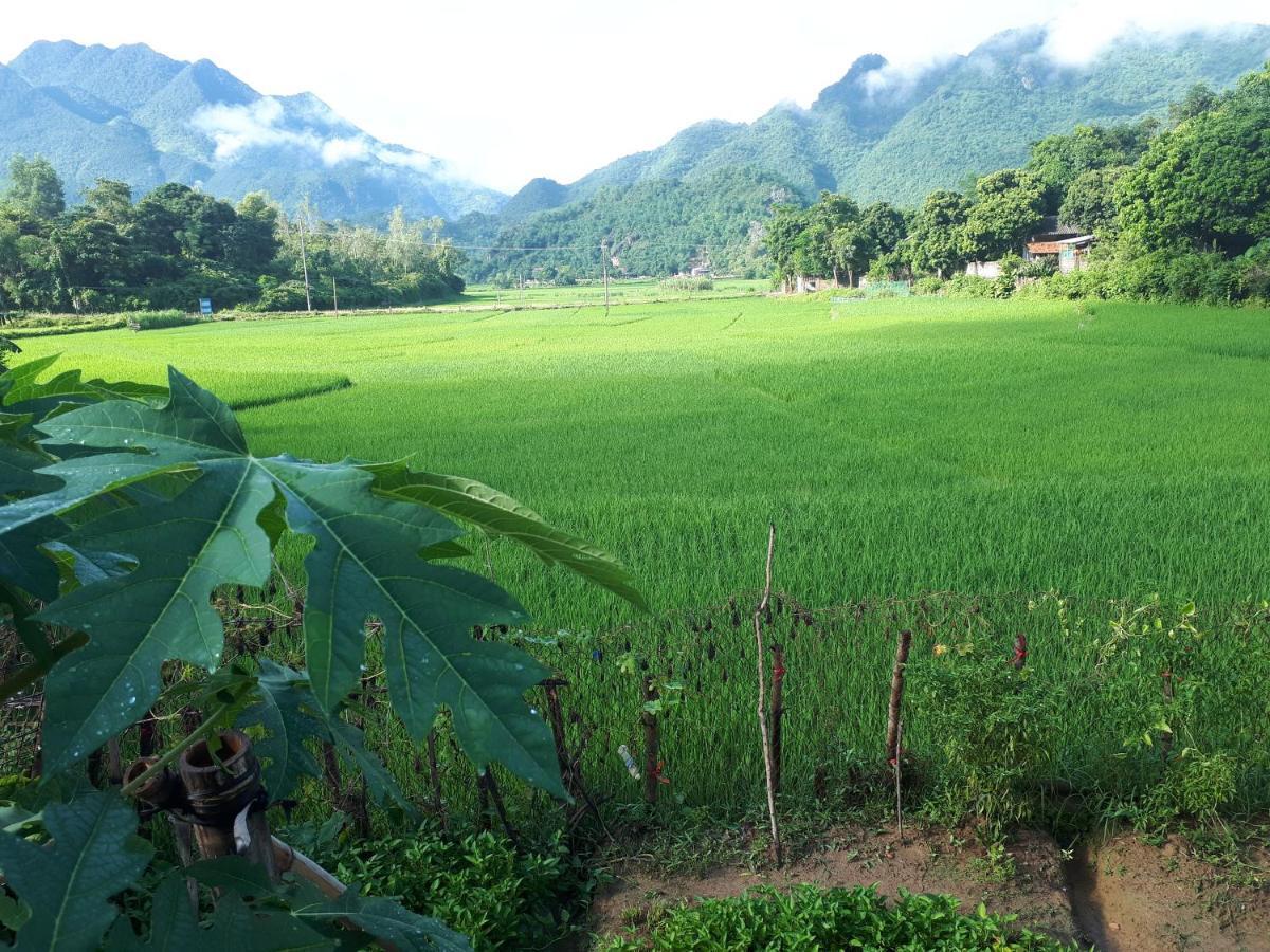 Meadow Mai Chau Homestay المظهر الخارجي الصورة