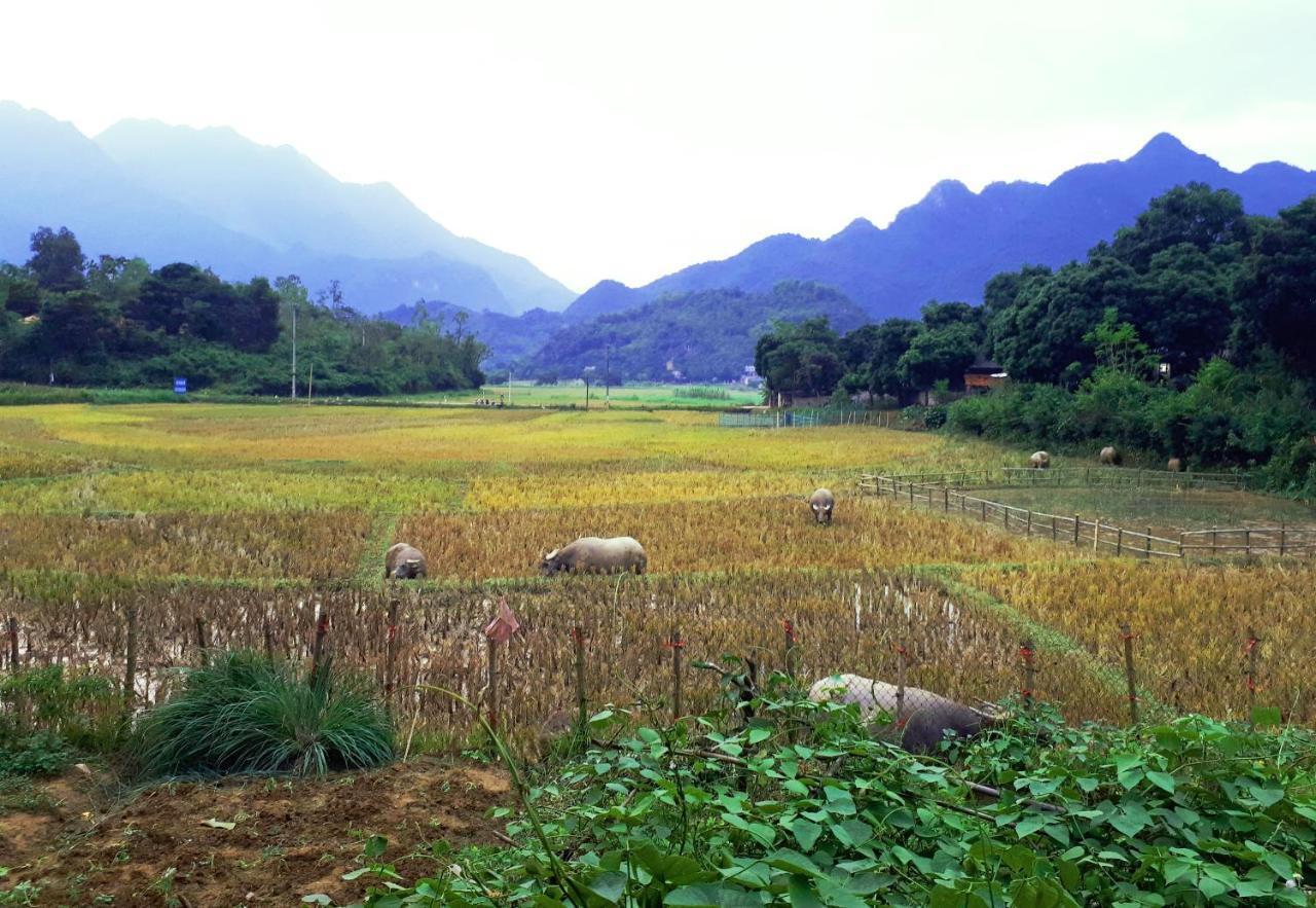 Meadow Mai Chau Homestay المظهر الخارجي الصورة