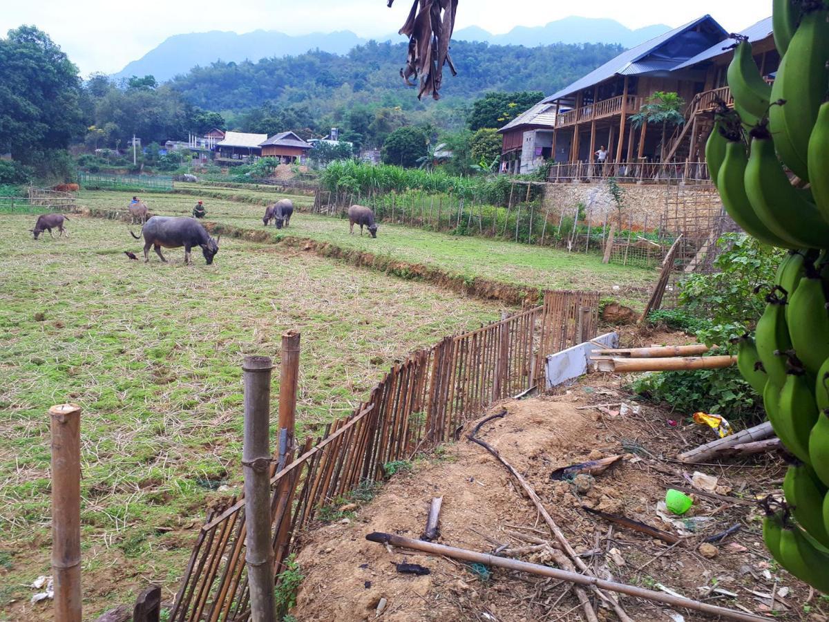 Meadow Mai Chau Homestay المظهر الخارجي الصورة